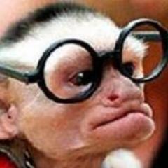 WeirdAnalTweets's profile picture. I'm all about peepin and creepin