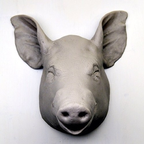 seunghwuikoo's profile picture. 