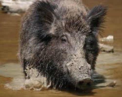 cook90's profile picture. 