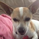 Tom Smallwood - @tomsmallwood800 - Twitter