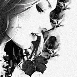 Não quero ter a terrível limitação de quem vive apenas do que é passível de fazer sentido. Eu não: quero uma verdade inventada.
Clarice Lispector.