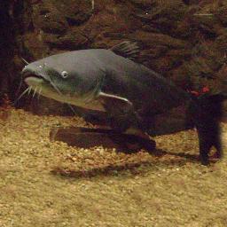 No one wants to get duped by a Catfish. We'll catch them before you're hooked.
http://t.co/d2jclhxD @CatfishOrNot