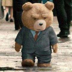 Soy el oso más irreverente, SENSUAL y simpático del mundo, fumo hierba, tomo alcohol, además soy un oso buen consejero!!!