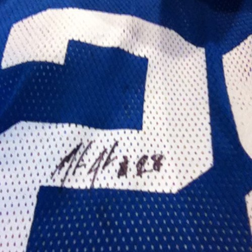 White Sox sufferer ⚾ | Colts pain enthusiast 🏈 | Michigan sports believer 💙💛 | Tweets are 70% hope, 30% rage
