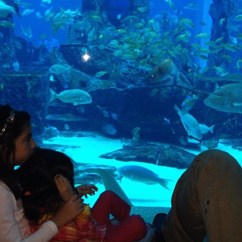 fa6oom82's profile picture. 