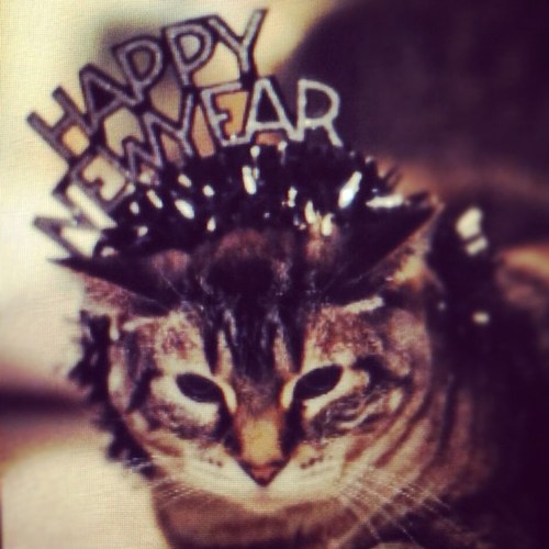 laurenaaves's profile picture. Aves Photographic Design, Wedding and Newborn Photography in Dallas Fort Worth.