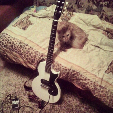 Golyi_lis's profile picture. Любо знать и узнавать.