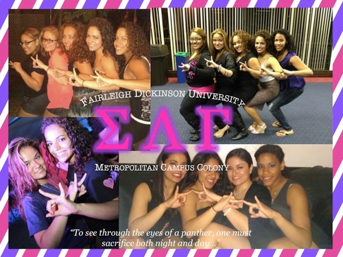 The official twitter of all things FDU Metropolitan Campus Colony of Sigma Lambda Gamma National Sorority, Incorporated!