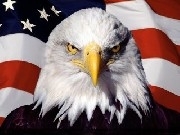 Because I love America.