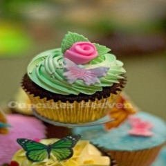 julinenutem's profile picture. 02-01-1995 |just an ordinary girl who have one milion dreams | always try to keep fwf for my cumi | metion for folback:)