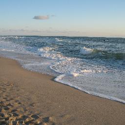 MoinMoinMoinsen's profile picture. 