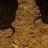 Carlos Núñez 66 (@carlosndr) 's Twitter Profile