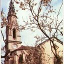 Teresa Trillo - @TeresaTrillo1 - Twitter