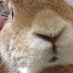 PSO2 ドラクエ10　FF14　サムドラ　BO2 などなど様々なゲームをやっています！フォロワーやフレンド、チーム加入など募集中です＾＾

LOVE RAPPYs