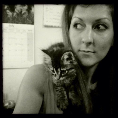 abigailfree's profile picture. Mummy to two beautiful girls