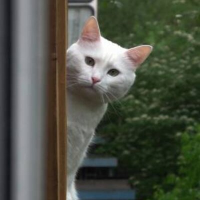 次長課長 21時 あずさ (@jk05azu) / X