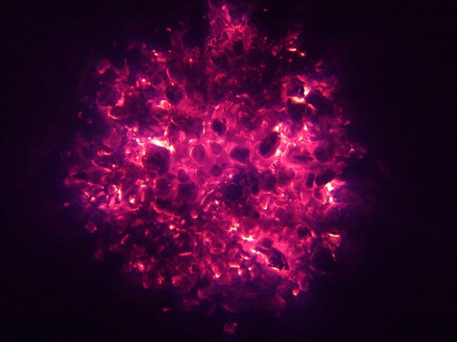 Penecelin's profile picture. @penecelin@octodon.social