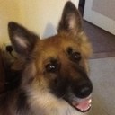 annie best - @BestRbbest - Twitter