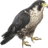 errorstrike