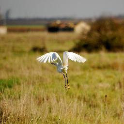 EstuaireGironde's profile picture. L'actu autour du plus vaste Estuaire d'Europe.