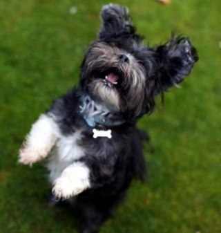 choy_joe's profile picture. Loves music nice people good food life