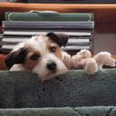 Peter Langston - @peteLangston - Twitter