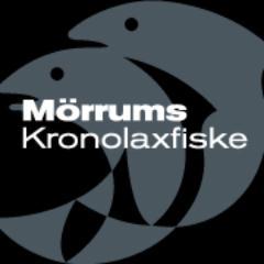 Officiellt konto för Mörrums Kronolaxfiske.