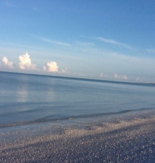 carentoo's profile picture. 