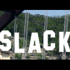 slackerwood's profile picture. The home of Slackerwood contributors.