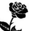 Nora Meyer - @NoraNono - Twitter