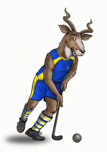 WitsHockey's profile picture. All the info you need to know about Wits hockey, from league to USSA.