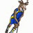 WitsHockey's profile image