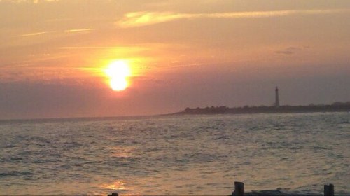 KenigSandy's profile picture. 