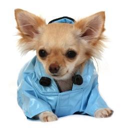 http://t.co/enZdclm7 offer a beautiful range of doggy clothes and accessories for your perfect pooch.