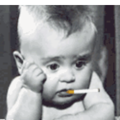 indrachetia23's profile picture. 