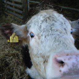 Currently doing a spot of farming.
An agri-acronym heavy CV that includes USDA, AHDB, NFU, CIEL & UKATC.
All views expressed are my own.