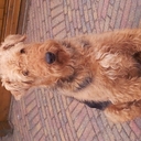 john meinders - @johnmeinders - Twitter