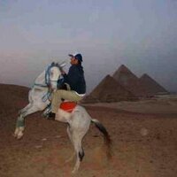 Wayne Deakin (@waynedeakin) 's Twitter Profile