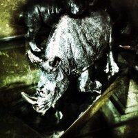 Pete R (@pete_rhino) 's Twitter Profile Photo Pete R (@pete_rhino) 's Twitter Profile Photo