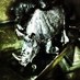 Pete R (@pete_rhino) Twitter profile photo Pete R (@pete_rhino) Twitter profile photo