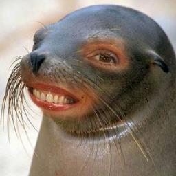 the_rex89's profile picture. 