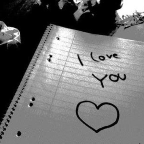 The 2013 notebook of love