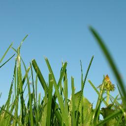 NSTiempoLibre's profile picture. Mil ideas para tu tiempo libre, manualidades, recetas, viajes...