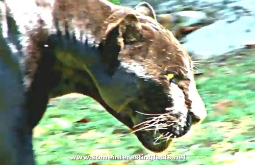 SomeinterestFac's profile picture. 