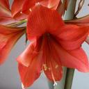 Sylvia Patton - @smpatton48 - Twitter