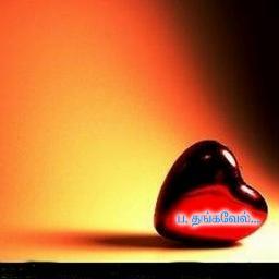 அடிப்படை உறுப்பினர் அல்லாத அதிமுக பற்றாளன்.வாய்ப்பை வசமாக்கி களமாட காத்திருக்கும் அடிமட்டத் தொண்டன்.மேட்டுப்பாளையம் சட்டமன்றம். நீலகிரி பாராளுமன்றம் வாக்காளன்.