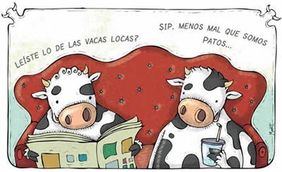 Veterinariadas Profile Picture