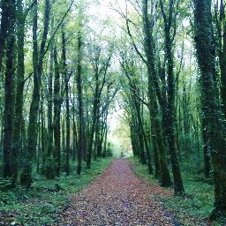 InishRua's profile picture. Exclusive, Luxury 5 Bedroom Residence available for Holiday and Angling Rental, located in the centre of the pretty fishing village of Clonbur, Galway, Ireland.