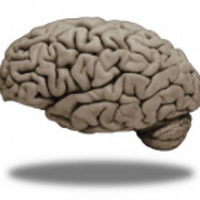 Medi Neuros (@medneuromooc) 's Twitter Profile