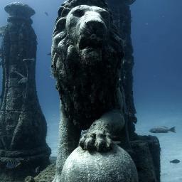 doublelj's profile picture. American Girl